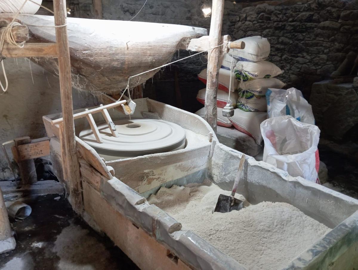 Ailesi i&ccedil;in başladı, her g&ouml;ren istedi: Talep yağıyor 1