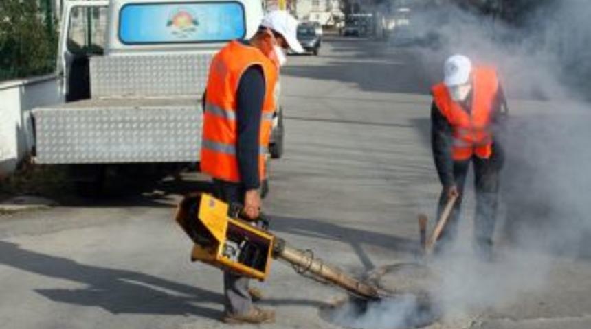 Ak&ccedil;ay&rsquo;da sinekle m&uuml;cadele &ccedil;alışmaları başladı