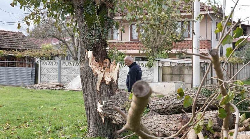 D&uuml;zce&rsquo;de fırtınada devrilen ağa&ccedil;lar kaldırılıyor