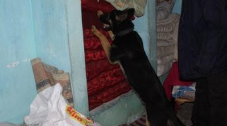 Gaziantep polisi, sokak satıcılarında 24 kilo esrar yakaladı