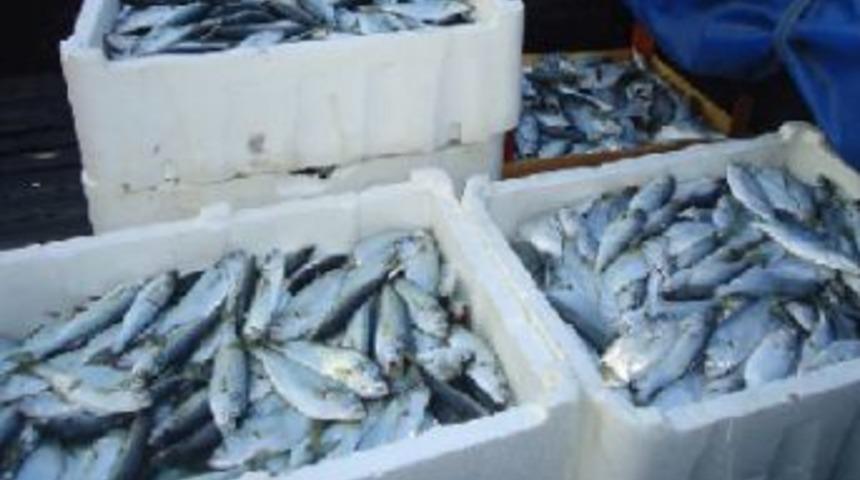 K&uuml;&ccedil;&uuml;k boyda satılan 74 kilogram l&uuml;fere el konuldu