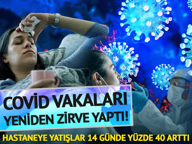 Covid vakaları yeniden zirve yaptı! Hastaneye yatışlar 14 g&uuml;nde y&uuml;zde 40 arttı