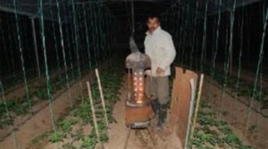 Seralarda gece don n&ouml;beti...