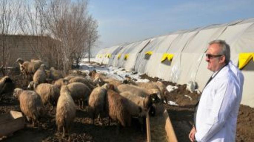 Depremzede hayvan yetiştiricilerine 61 milyon 109 bin TL &ouml;denecek