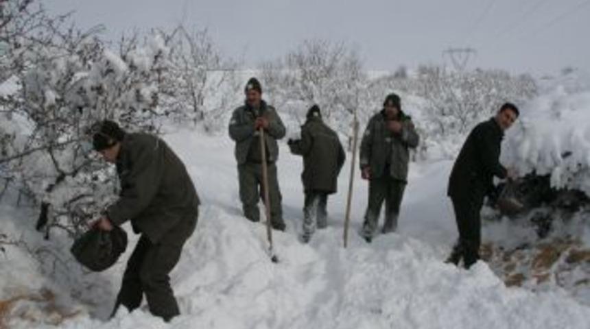 Yaban hayvanları i&ccedil;in doğaya yem bırakıldı