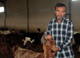 Hibeyle kurduğu işletmede keçi eti ve sütü üretiyor