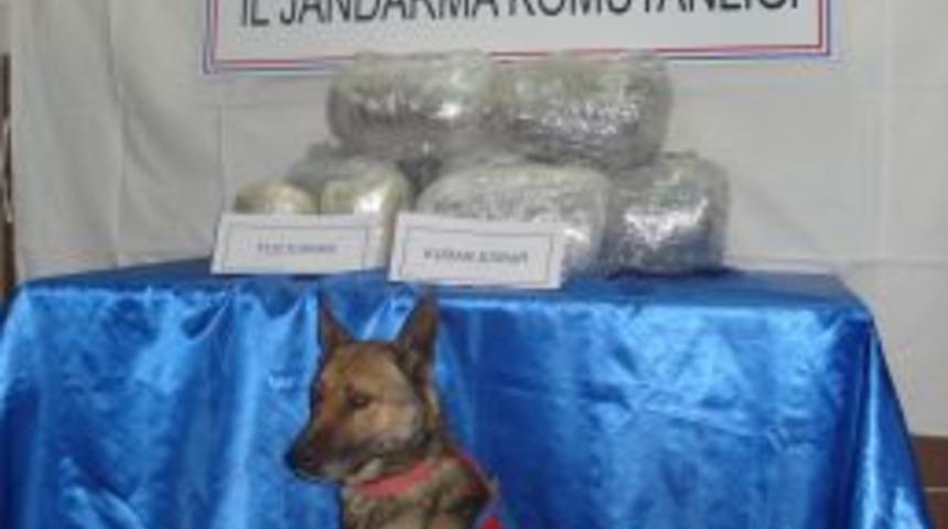 Jandarma, 17 yaşındaki gen&ccedil;te 20 kilo esrar ele ge&ccedil;irdi