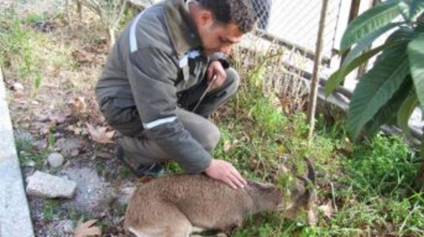 Ka&ccedil;ak avcılar katlediyor