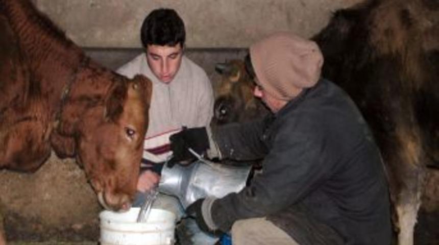 Bitlis'te g&ouml;letler dondu, hayvanlar taşıma su ile sulanıyor