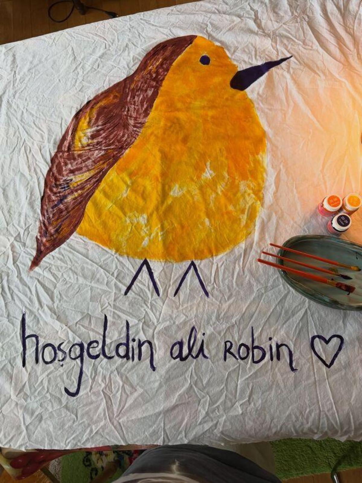 Melike Şahin oğluna Ali Robin adını verdi 2