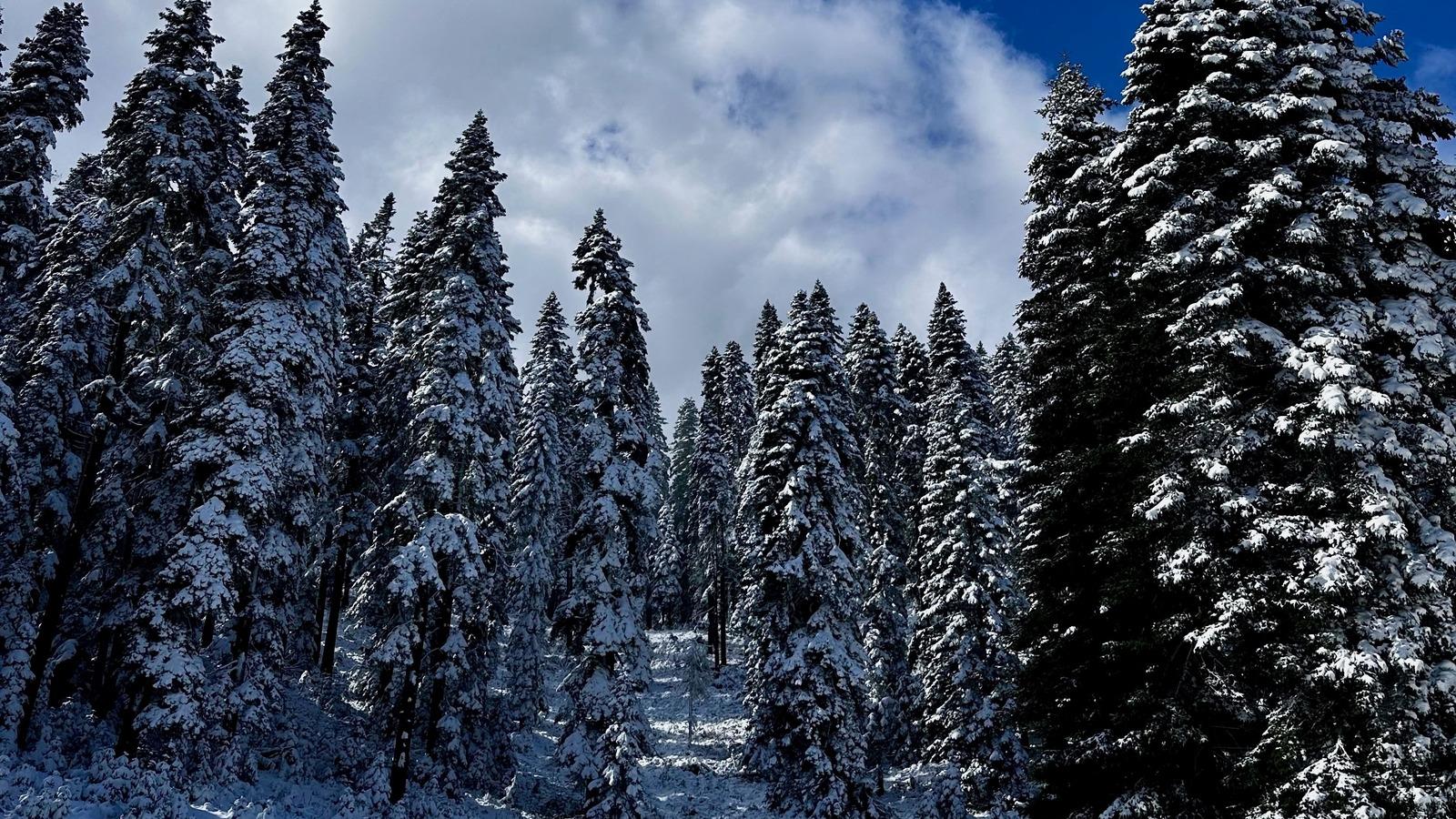 Yurttan kar manzaraları! ❄️