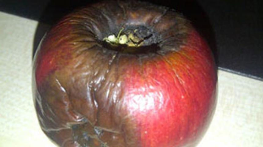 Elmadan nasıl mı duman &ccedil;ıkar!