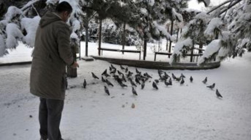 Bakanlıktan vatandaşlara: Karda yiyecek bulamayan kuşları besleyin