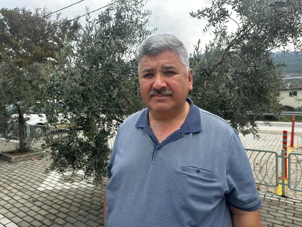 290 bin ton zeytin bekleniyor, erken hasat fiyatı belli oldu! 3