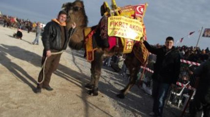 Develer tel &ouml;rg&uuml; yıkarken, kimileri ayağını kırdı
