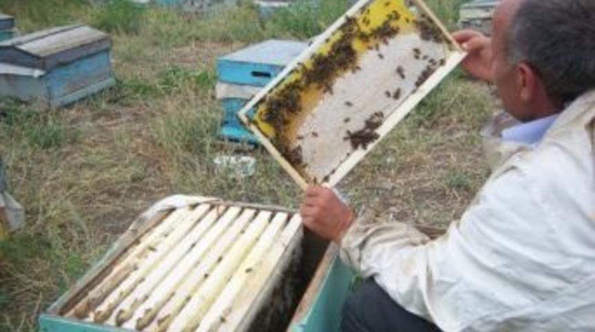 Kars Arıcılar Birliği başkanını yeniden se&ccedil;ti