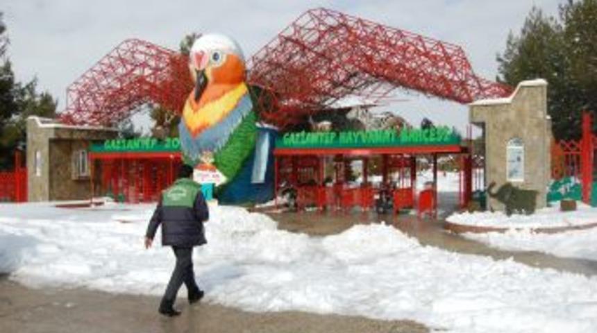 Hayvanat bah&ccedil;esi sakinlerine &ouml;zel ısıtma sistemi