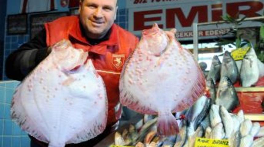 Kar yağışının ardından lezzetlenen hamsiyi balık&ccedil;ılar mumla arıyor