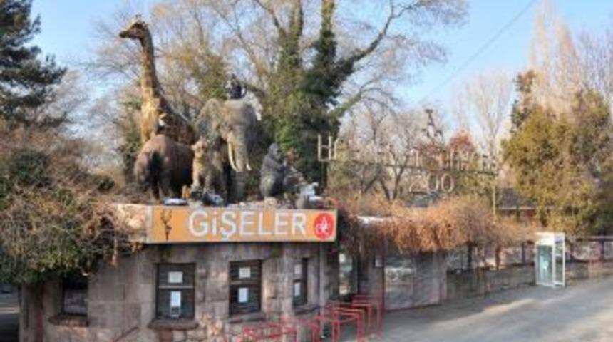 Hayvanat bah&ccedil;esine girişler artık &uuml;cretsiz