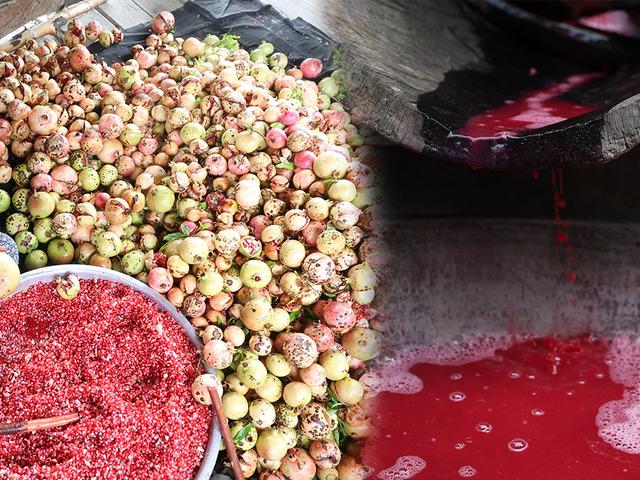 Odun ateşinde 5 saat kaynıyor! Tek tek elle ayıklanıyor, kilosu 750 TL!
