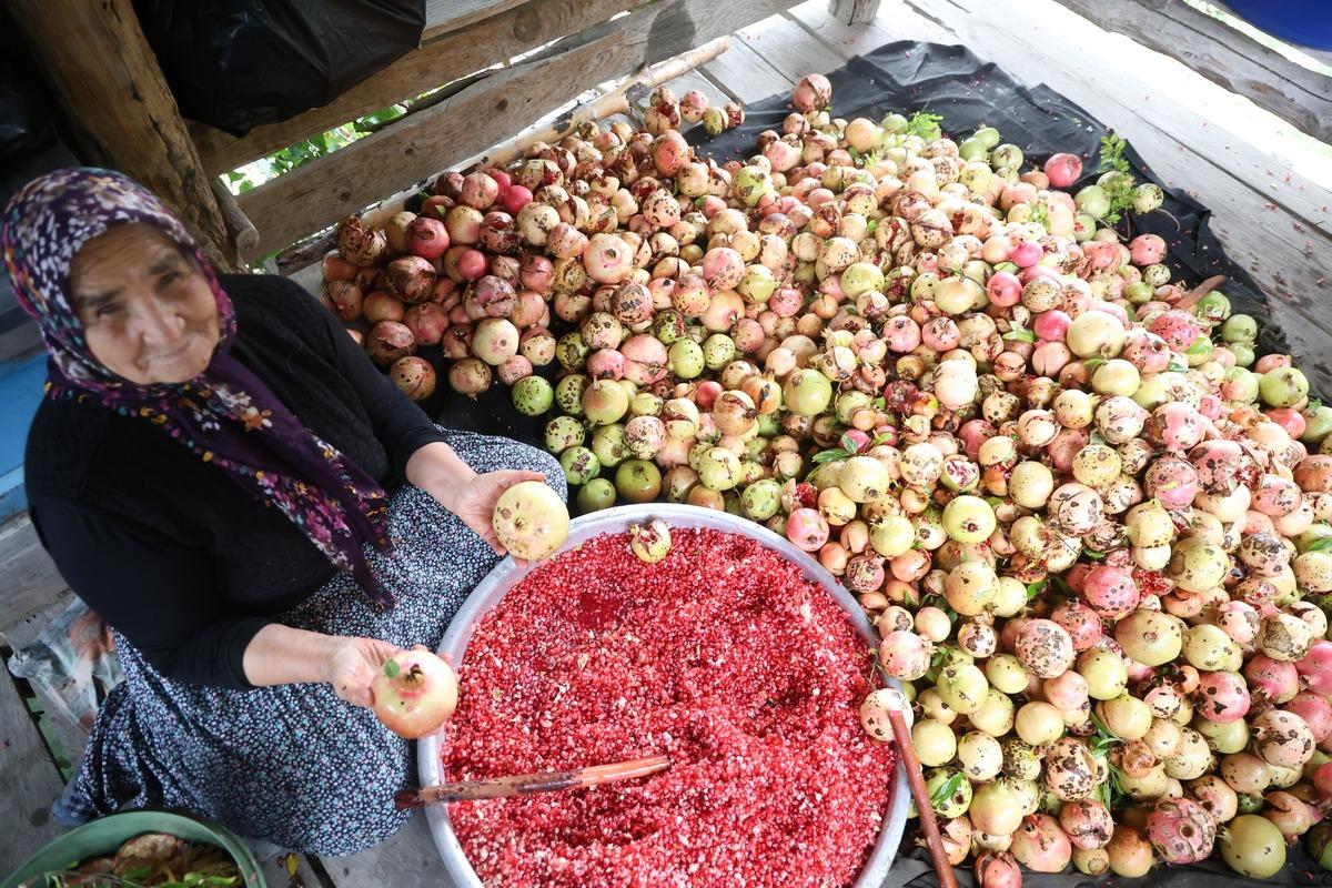 Odun ateşinde 5 saat kaynıyor! Tek tek elle ayıklanıyor, kilosu 750 TL! 2