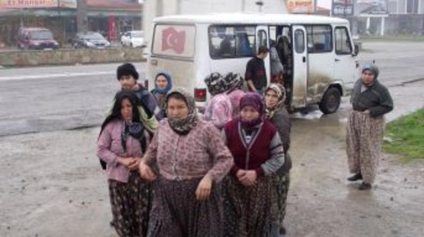 Zeytin iş&ccedil;ileri &ouml;l&uuml;mden d&ouml;nd&uuml;