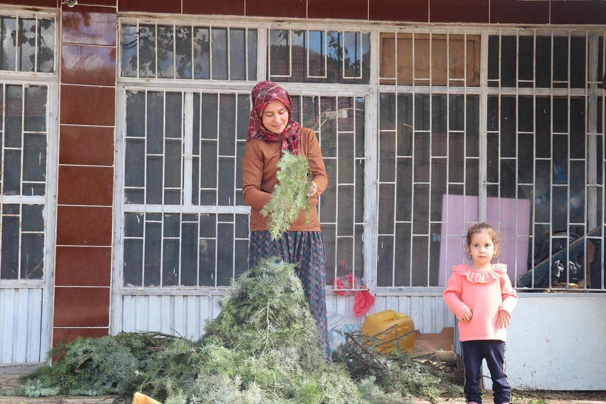 200 evde yapılıyor: Avrupa ya satılıyor Onlar için önemli 2