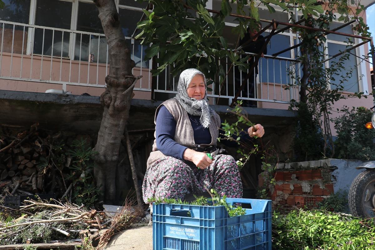 200 evde yapılıyor: Avrupa ya satılıyor Onlar için önemli 4