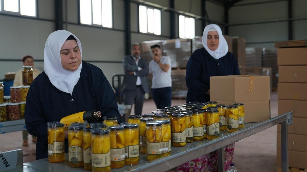 Yer: Bursa! Kadınların el emeğiyle katkısız turşu &uuml;retiliyor 1