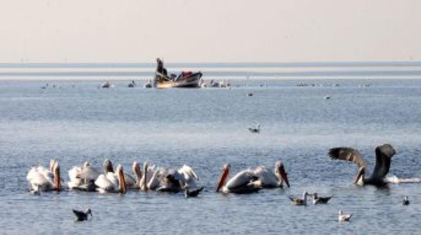İzmir K&ouml;rfezi'nde koli basili değeri sıfırlandı