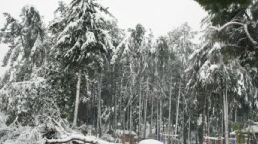 Yağan kar elektrik kesintilerini artırınca jenerat&ouml;r satışları arttı