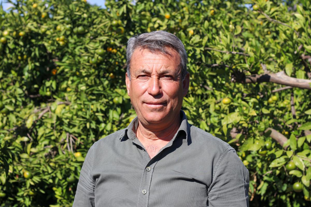 İzmir de satsuma mandalinanın ihracat yolculuğu başladı 7