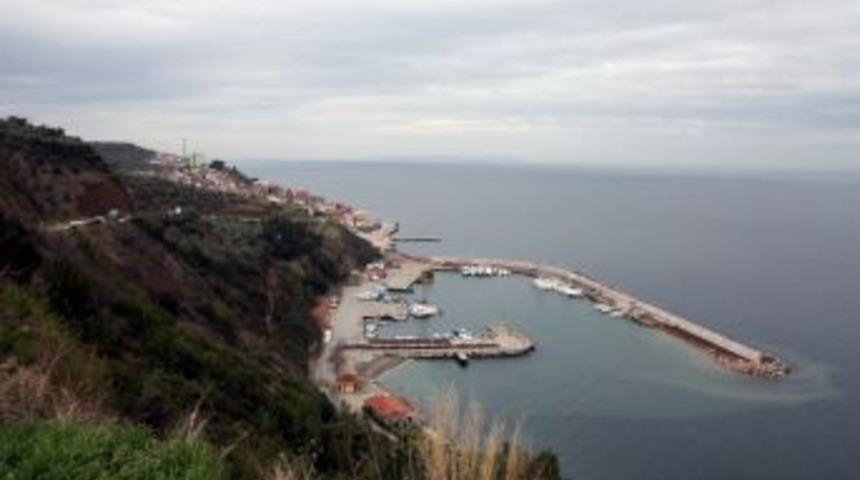 49 yıl sonra yeniden Tirilye