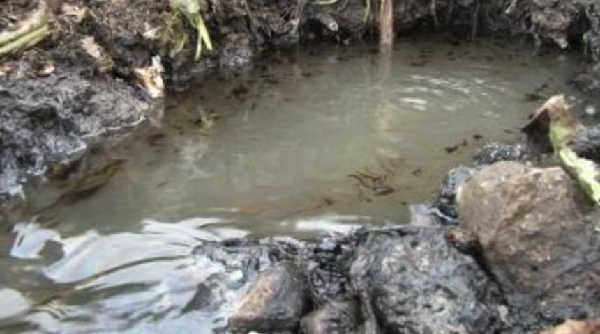 Haydarpaşa'da denize yağ akıyor