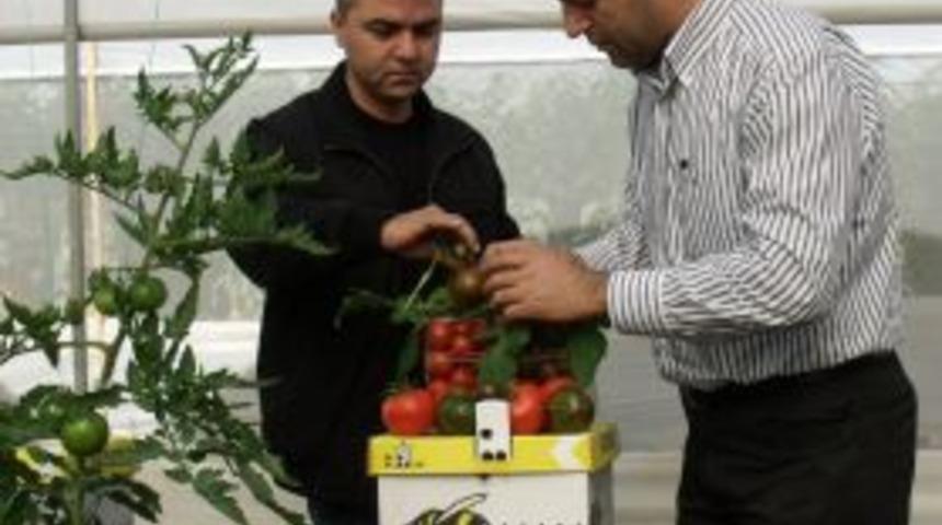 Uluslarası pazarda yerini aldı