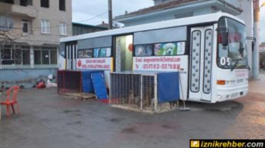 Sokak hayvanları aşılanıp kısırlaştırılıyor