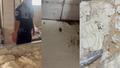 �skenderun'da mide buland�ran f�r�n! Hamam b�ce�i, sigara izmariti..