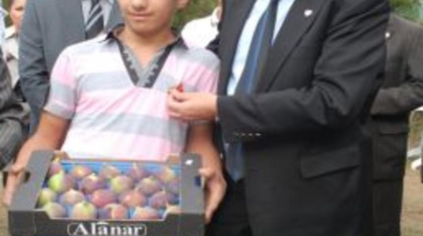 Siyah İncir Festivali ile 'Bursa Karası' tanıtıldı