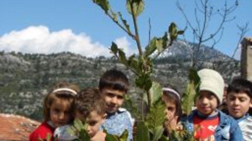 Manavgat'ın 4 k&ouml;y&uuml;nde defne kesimi 10 g&uuml;n sonra bitecek