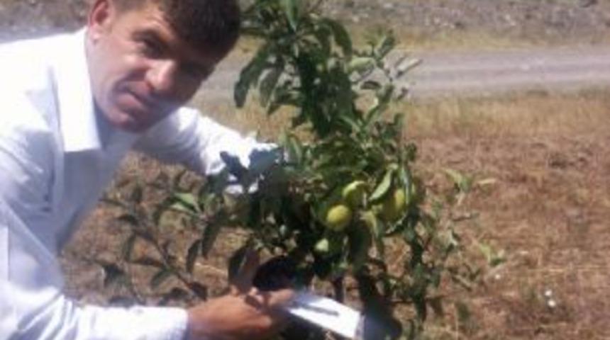 Kağızman'da kapama meyve bah&ccedil;esi kuruldu