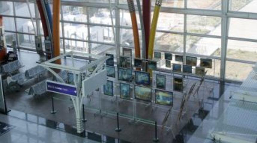 TAV caretta caretta resimlerine evsahipliği yaptı