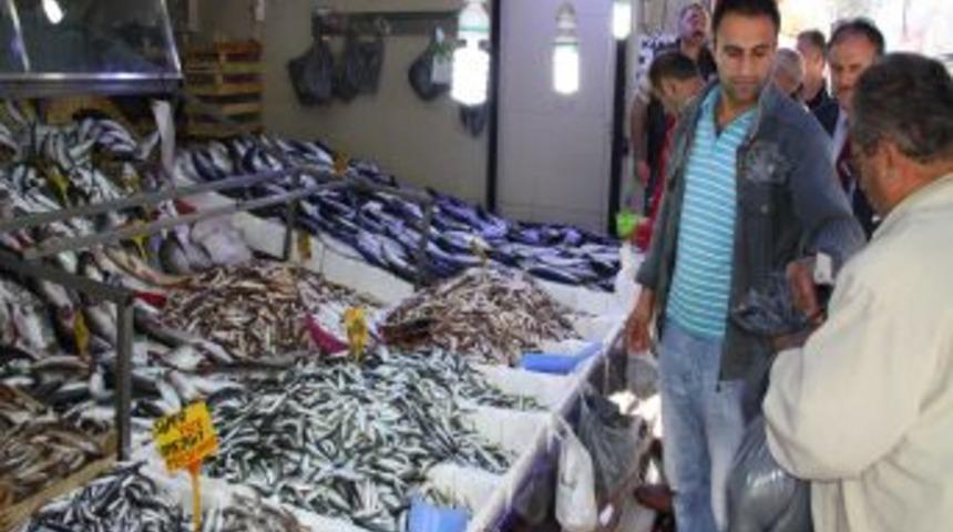 Havaların soğumasıyla Karadeniz&rsquo;de istavrit, barbun ve palamut bolluğu