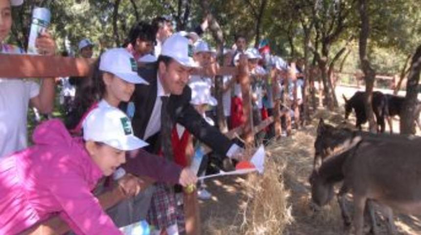 Minikler hayvan barınağını gezdi