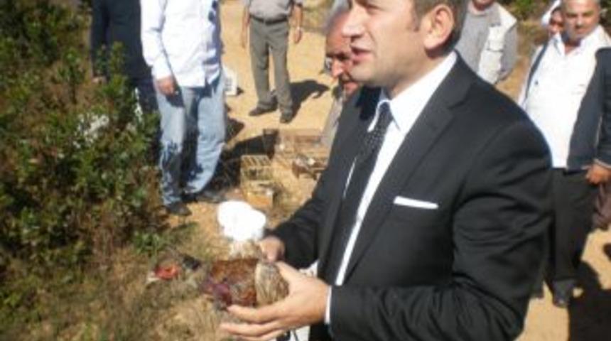 500 s&uuml;l&uuml;n ve 400 saka kuşu doğaya salındı