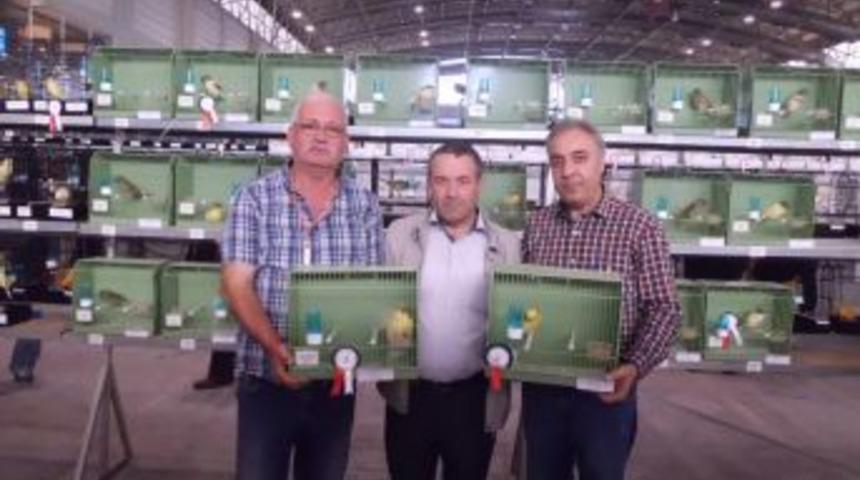 Edremit'in kanaryaları birinci oldu