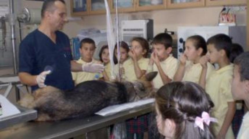 Minik &ouml;ğrenciler ilk kez veteriner kliniğini ziyaret etti