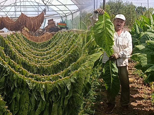Denemek i&ccedil;in ekildi, bir il&ccedil;enin ge&ccedil;im kapısı oldu!