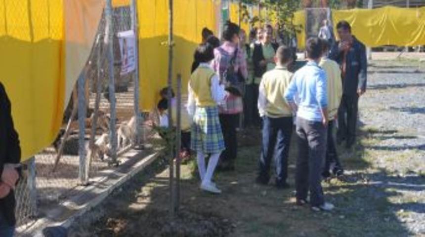 Hayvanlar a&ccedil; kalmasın diye yardım kampanyası d&uuml;zenlendi