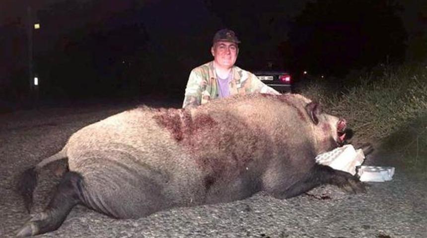 İzmir'de 250 kiloluk yaban domuzunu avladı