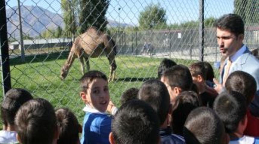 Erzincan hayvan parkı, &ouml;ğrencilerin ziyaretine a&ccedil;ıldı